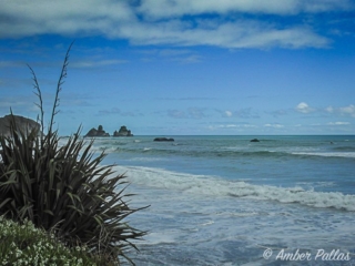 New Zealand Landscape