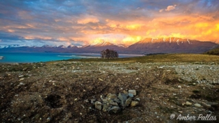 New Zealand Lake Tekapo