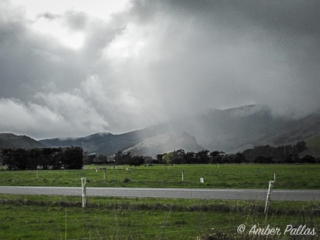 New Zealand Landscape