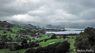 New Zealand Landscape