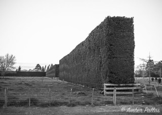 New Zealand Landscape