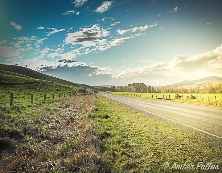 New Zealand Roadscape