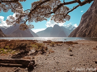 New Zealand Landscape