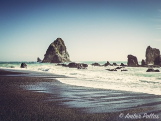 New Zealand Waterscape