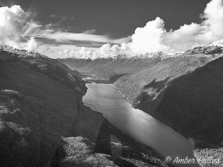 New Zealand Landscape