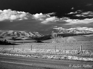 New Zealand Landscape B&W