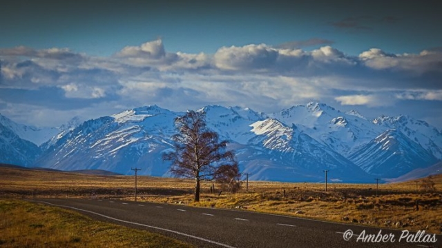 New Zealand Roadscape