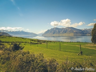 New Zealand Landscape