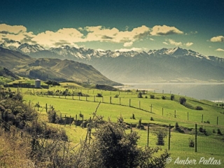 New Zealand Landscape