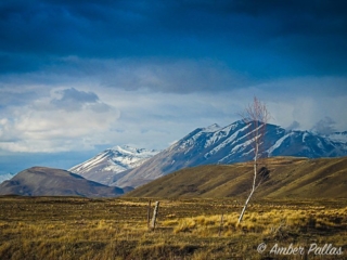 New Zealand Landscape