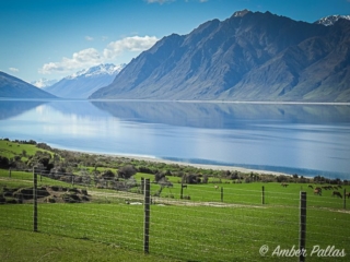 New Zealand Landscape