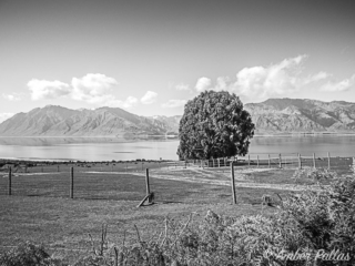 New Zealand Landscape B&W