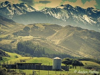 New Zealand Landscape