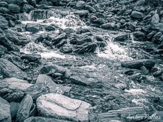 New Zealand Landscape