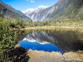 New Zealand Landscape